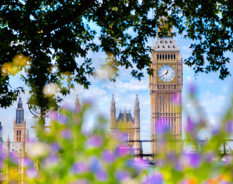 Летняя программа в Лондоне и Эдинбурге +Тур по Университетам